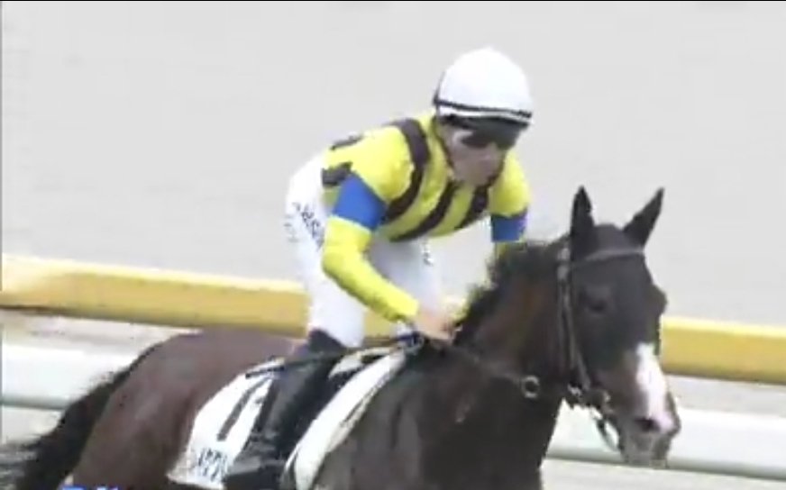 レイククレセントやっと勝てました。最内ついて追いまくって佐々木ジョッキーありがとう！関係者のみなさんもありがとうございます！