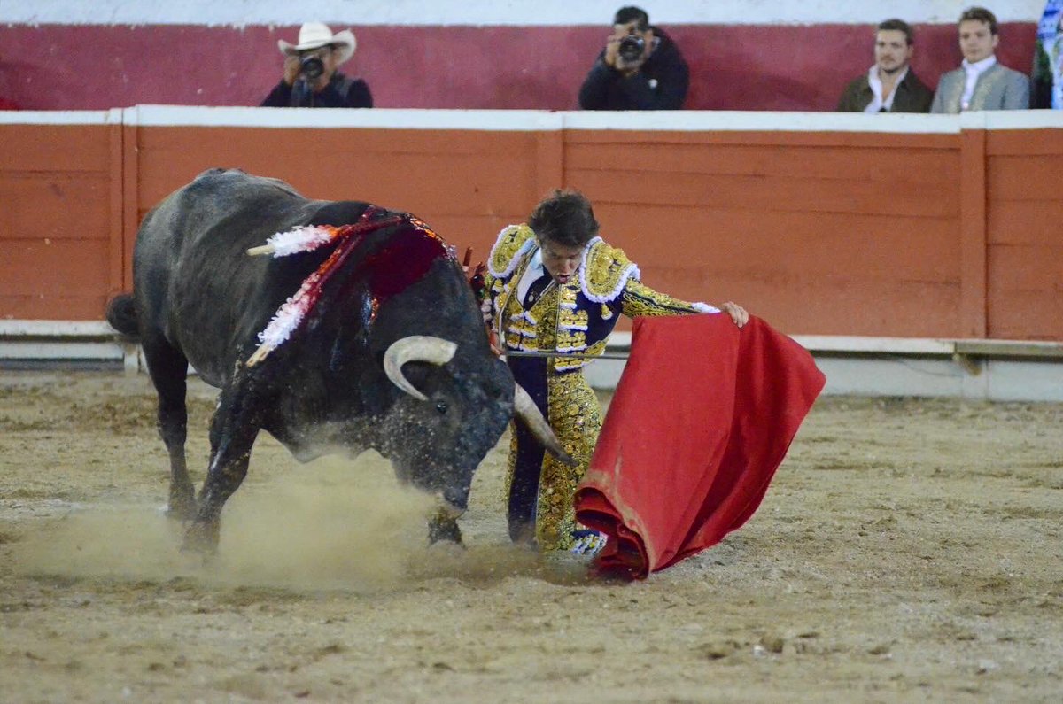 programataurino's tweet image. Arturo Gilio. 
Pachuca, 2025.