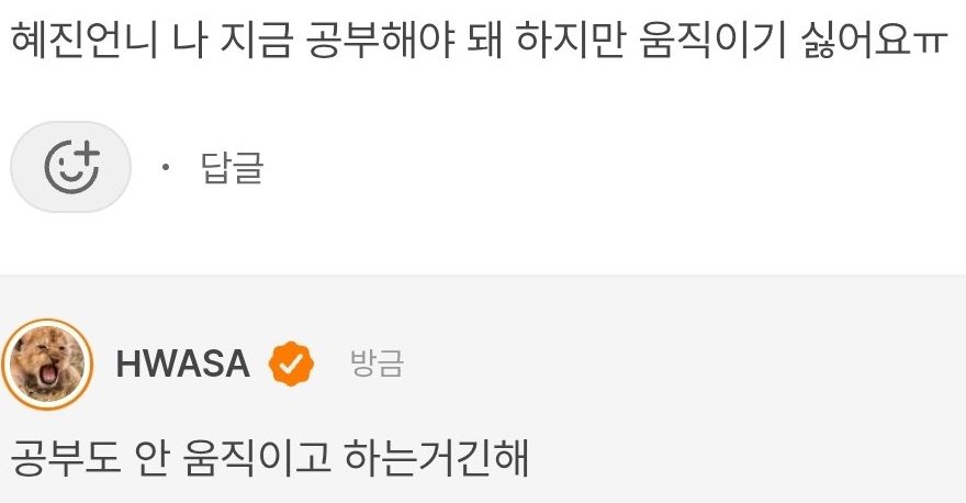 👤 Hyejin unnie, i have to study right now, but i don’t feel like moving ㅠ
🦁 studying is something you can do without moving anyway

😭😭😭😭🤣😂🤣
