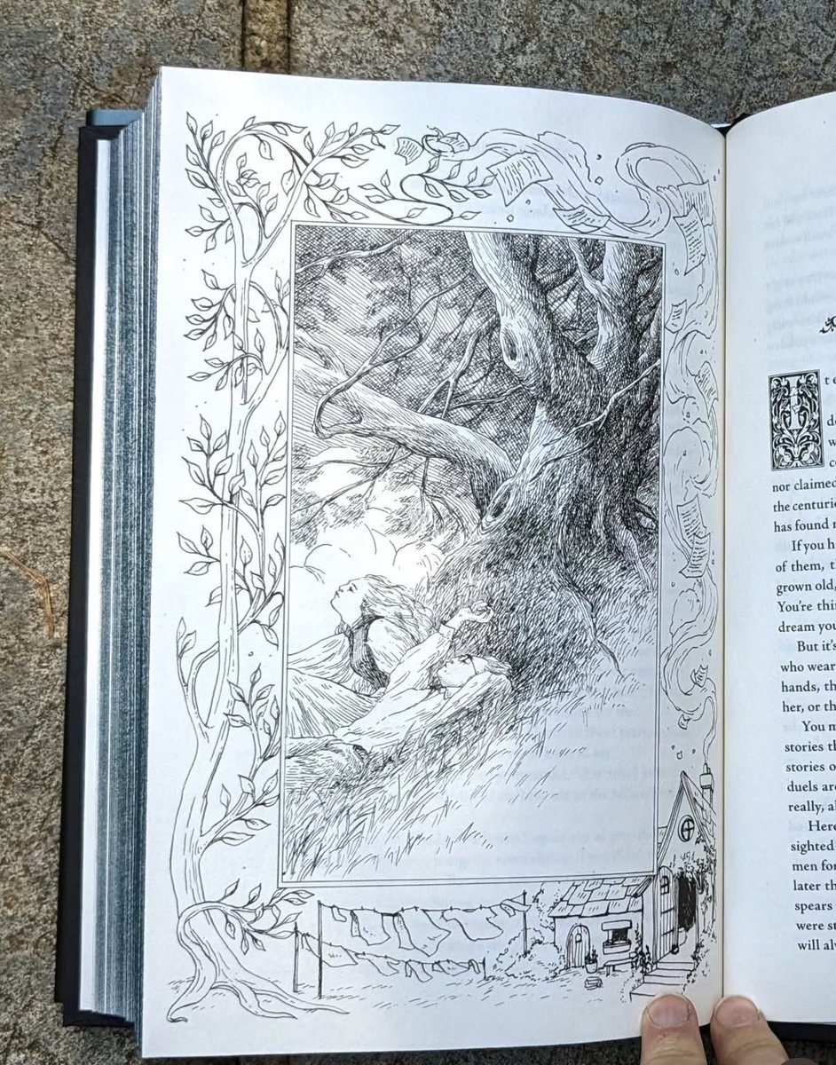 lagunabayfables's tweet photo. oh my god, apparently every regular US hardcover release of Alix E. Harrow’s THE EVERLASTING will have illustrations by @/alicecaoillustration on ig! 

this is so gorgeous, i can’t wait 🥰 https://t.co/HKBj6BV0k6