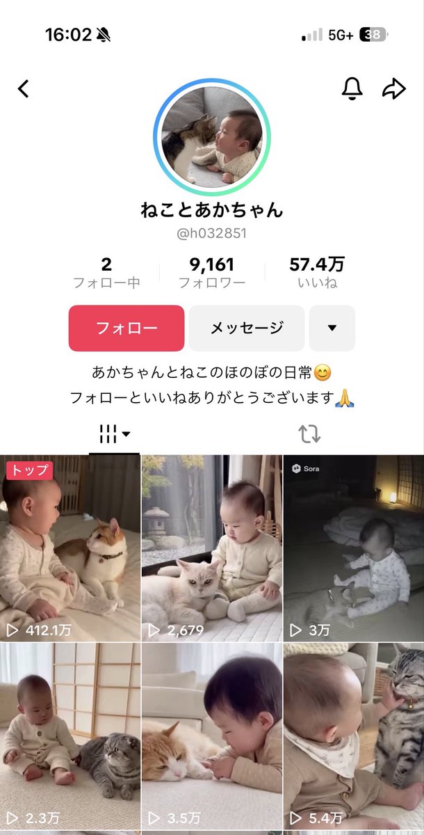 4610_hotel's tweet photo. 今朝8時に4500人だったのに、もう倍になってる。

そして、今朝このアカウント紹介してから、いろんな〇〇とあかちゃんアカウントが立ち上がってるw

これはマジでSoraドリームだな...

僕のフォロワーの皆さんは、くれぐれもAIラベルONにしてルールの範囲内で楽しみましょうね。

絶対どこかでバンになるはずなので。