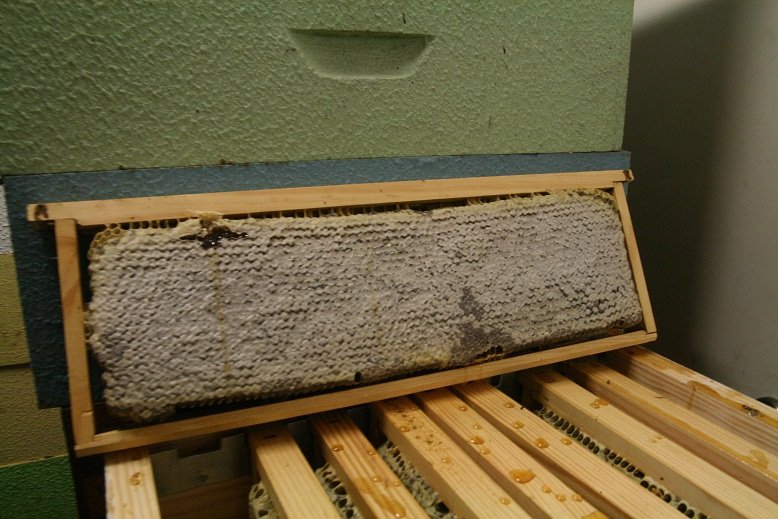 Alberto Uría tweet media