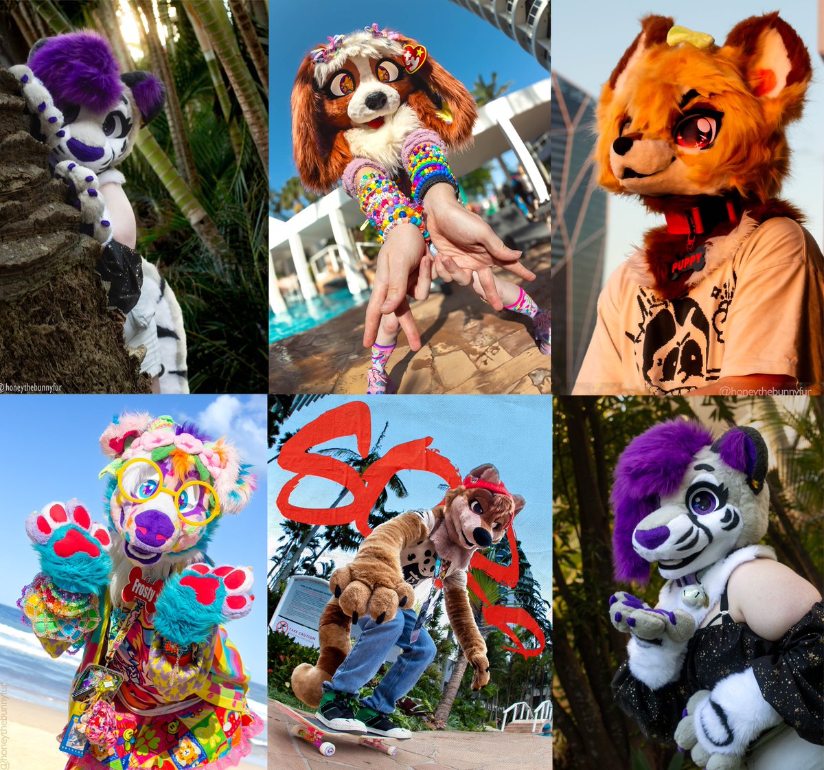 Honey the bunny 💖 🔜Brisnova 🔜 FurDU'26 tweet media