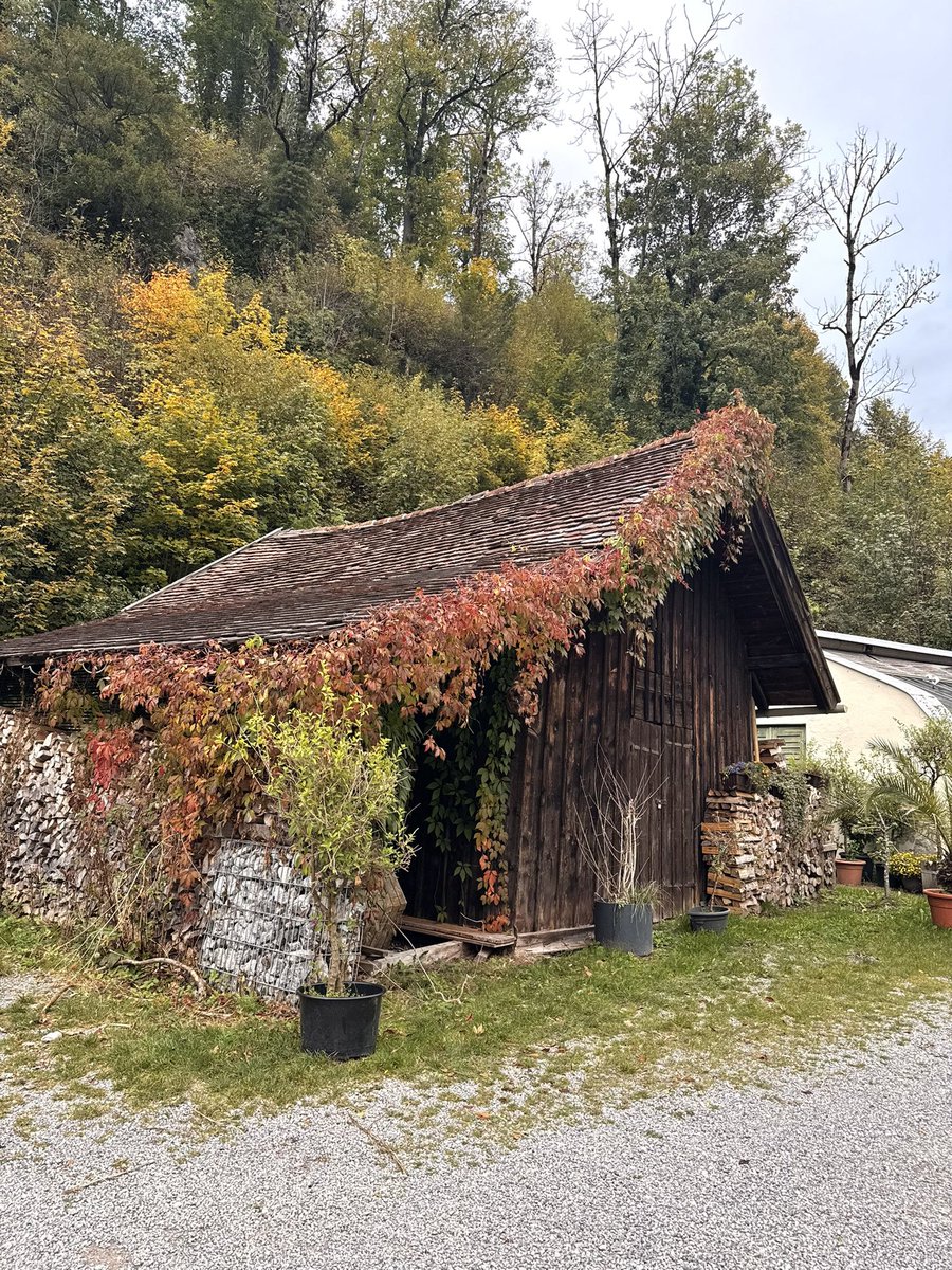 ♉︎ ℌ𝔦𝔤𝔥𝔢𝔯 𝔖𝔢𝔩𝔣 ⬡ tweet media