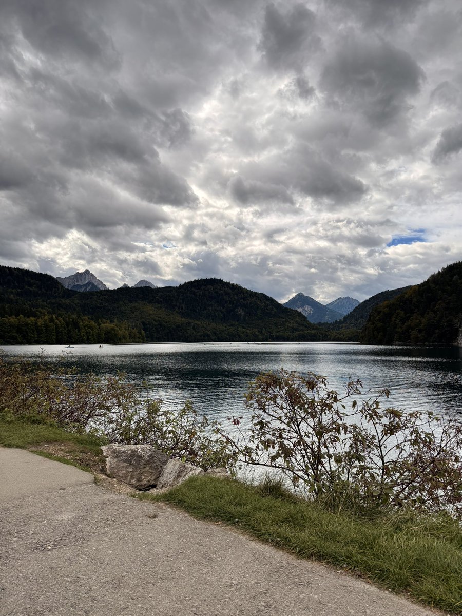 ♉︎ ℌ𝔦𝔤𝔥𝔢𝔯 𝔖𝔢𝔩𝔣 ⬡ tweet media