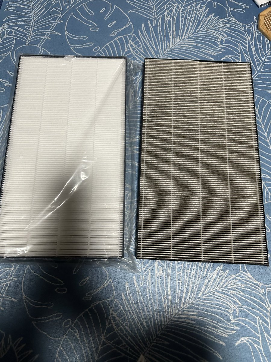 空気清浄機フィルター……五年でこれだけ汚れる我が部屋の換気の悪さ。
3回目のフィルター交換。