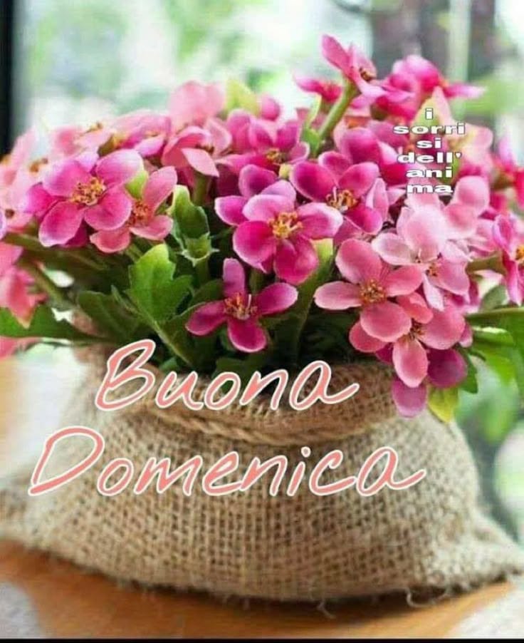 Marianna tweet media