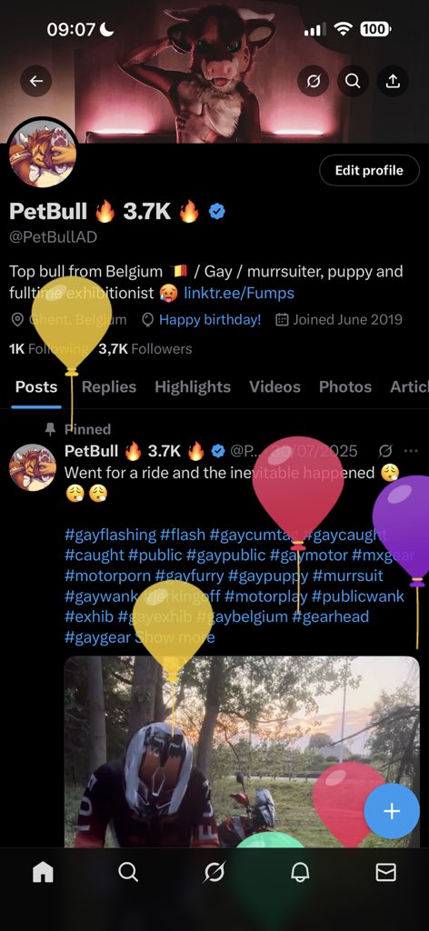 PetBull 🔥 🔜 Furizon tweet media