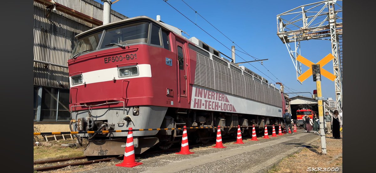 ハリハリ tweet media