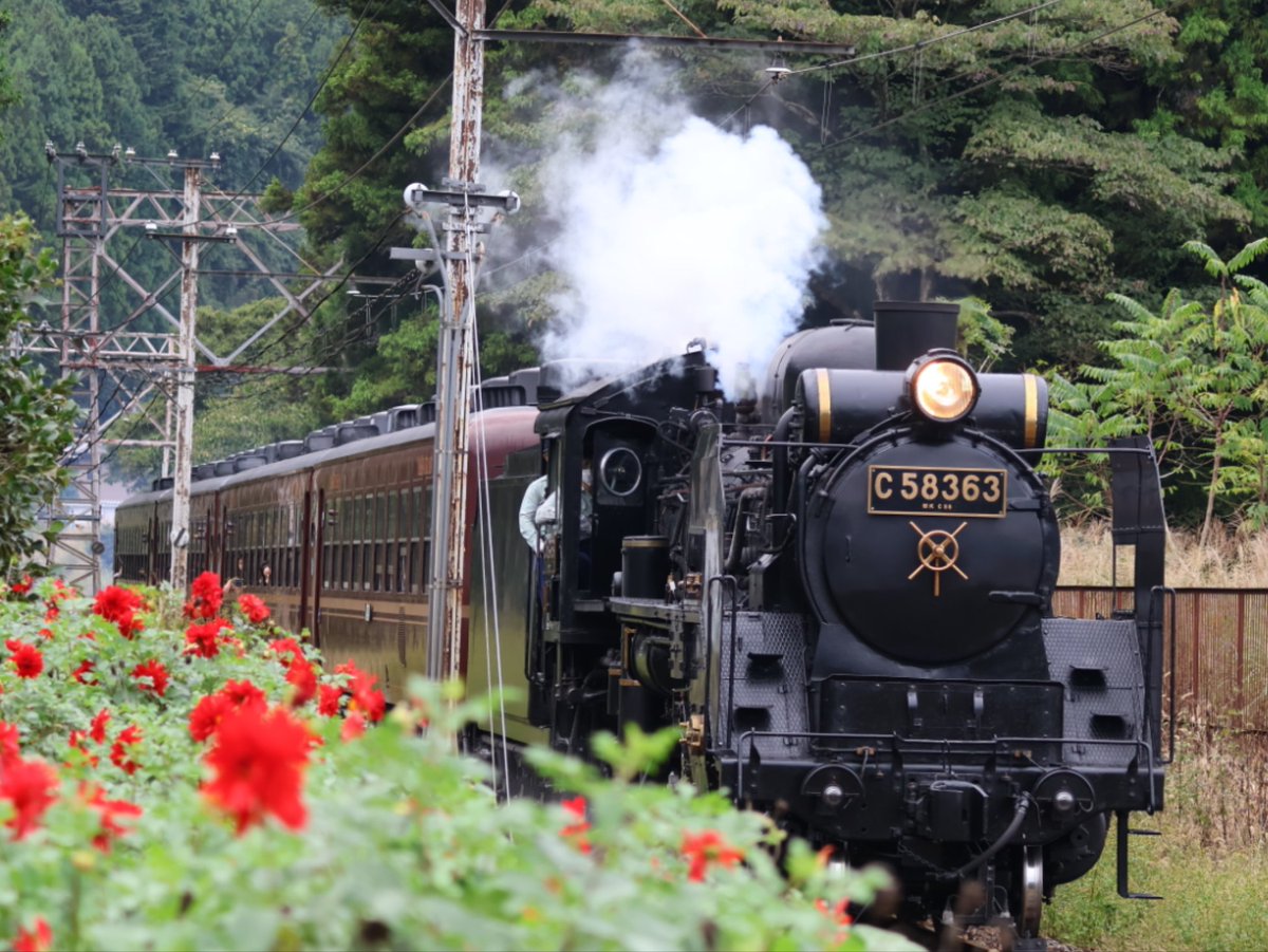 ちいたか🐺Ⅱ on X