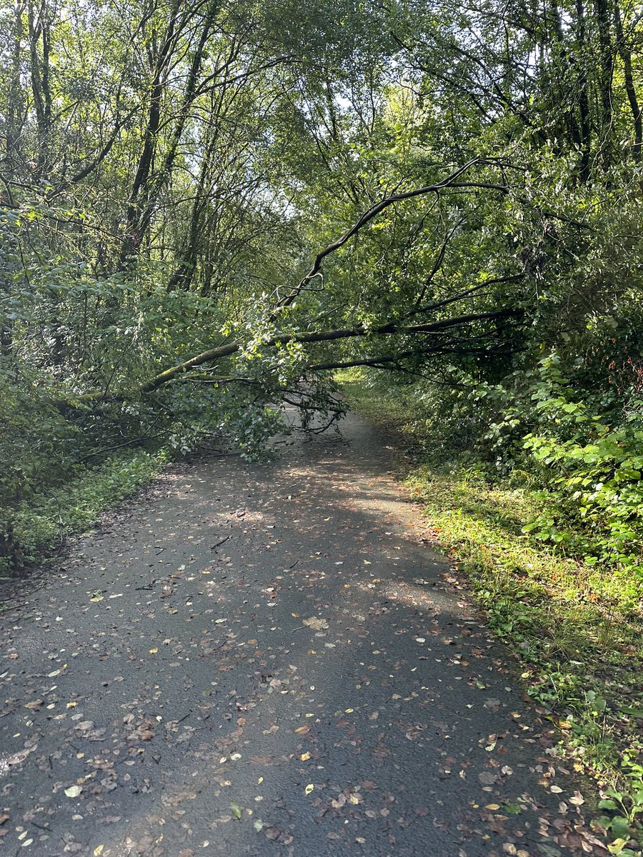 Myles Mylo Thomas tweet media