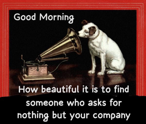 Mr Raj Mehta (@rajashmehta) on Twitter photo 