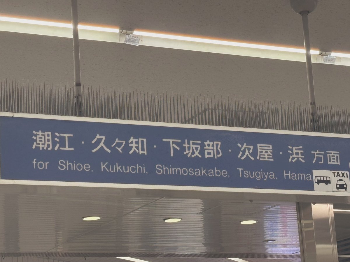 febfebcococa's tweet photo. 楽しい https://t.co/sxChghUxdN
