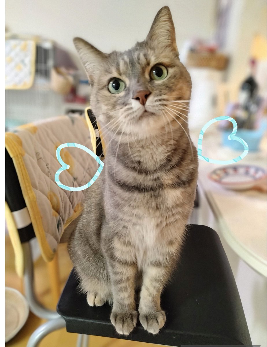 Tarakano𓏲𓎨 (@Tarakano0621) / Posts / X