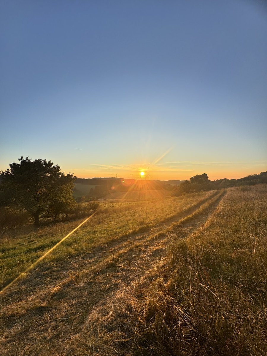 Die abendlichen Stunden der vergangenen Tage.