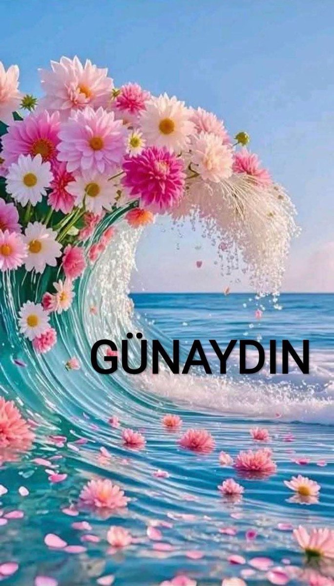 ismail köylüoğlu (@ismailkylolu3) on Twitter photo 