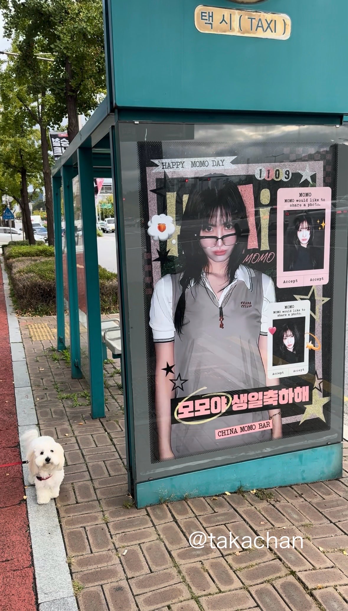 TWICE - ☆マイマイ☆ TWICE OFFICIAL SITE