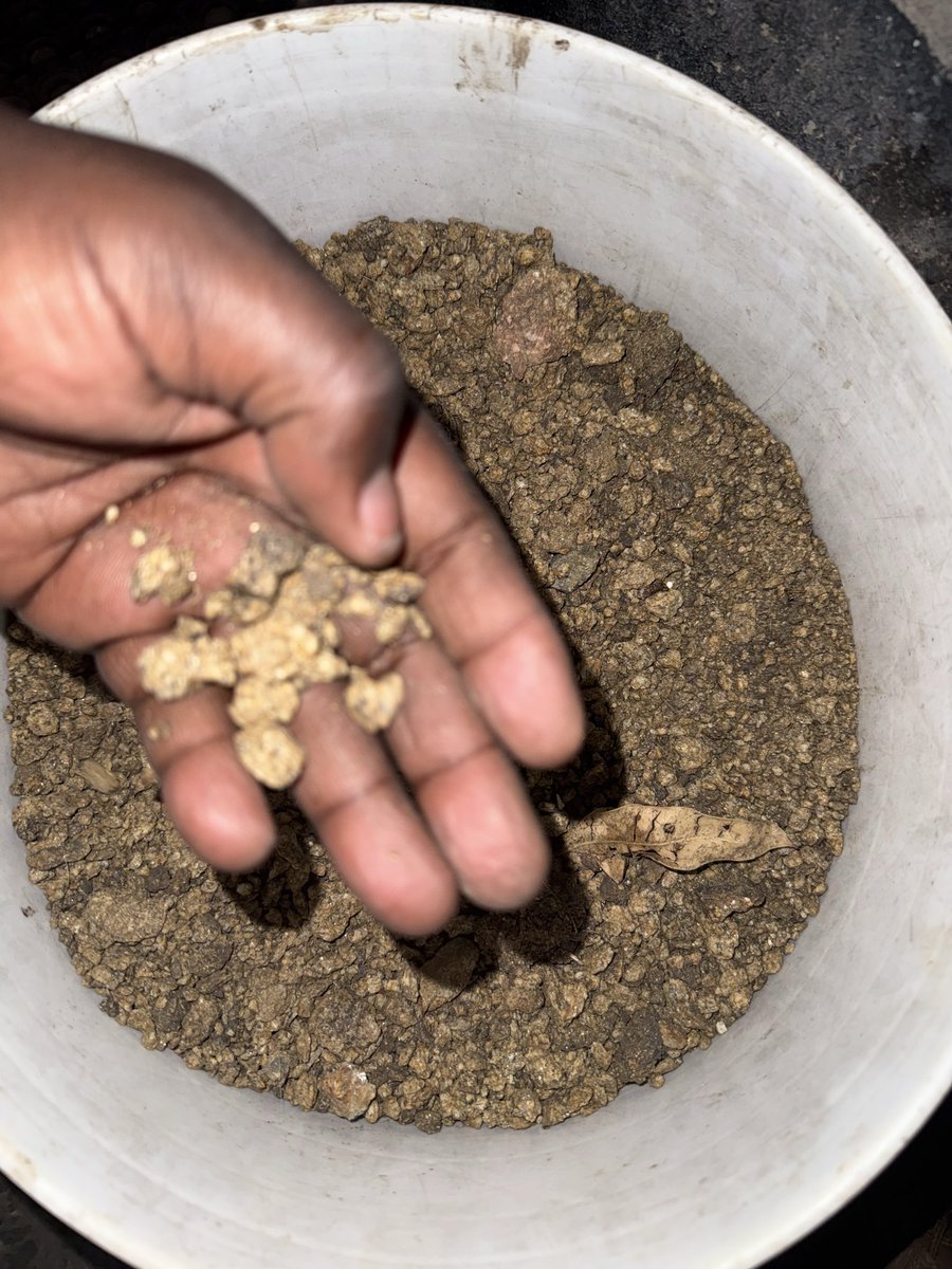 Somoina Kapeen tweet media