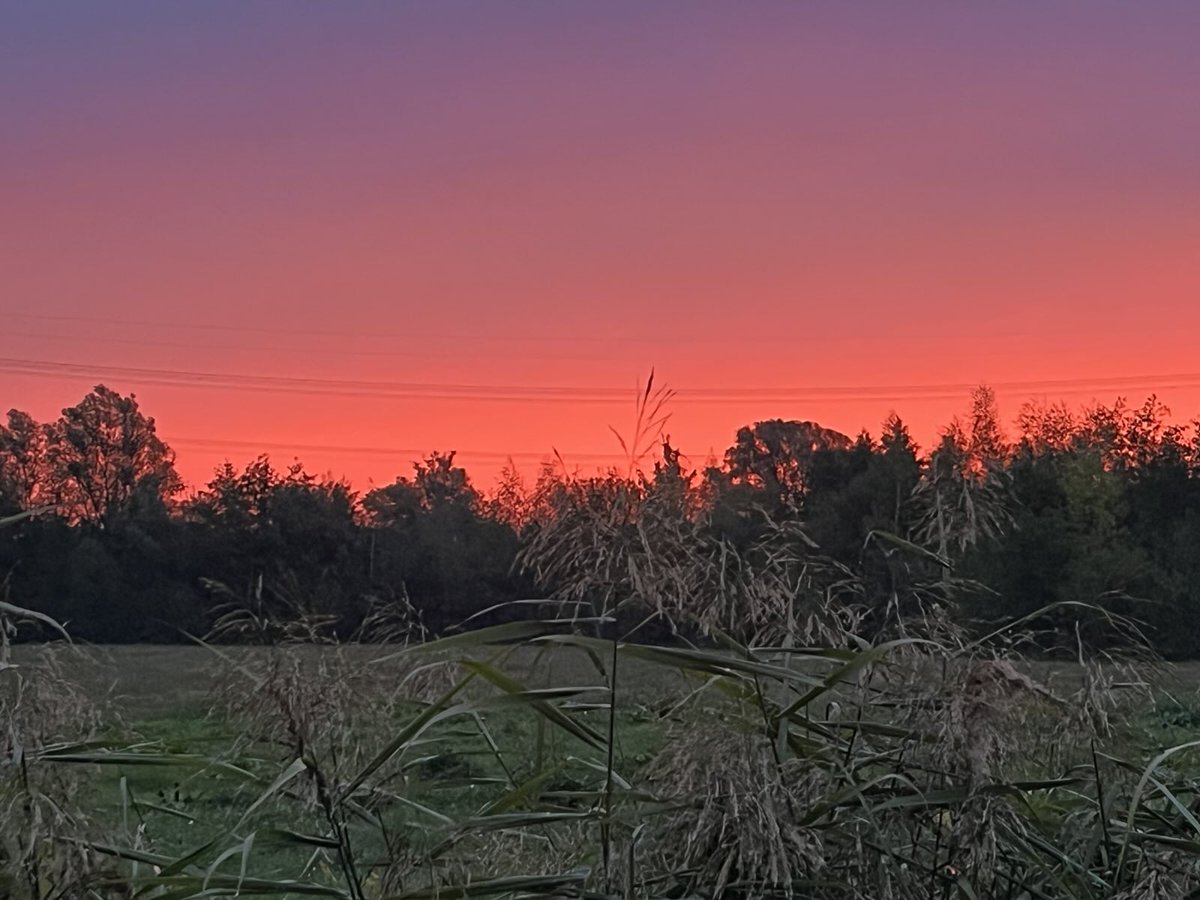 Zelfs de hemel trekt vandaag de #Rodelijn