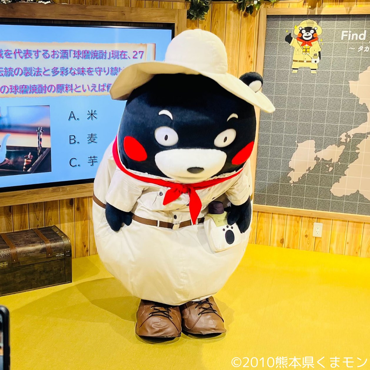 DFESTA熊本 入場特典 くまモン DFESTA熊本 入場特典 くまモン DFESTA熊本 入場特典 くまモン