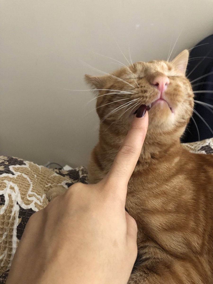 Güselmsin ve bunu semde biliyursn