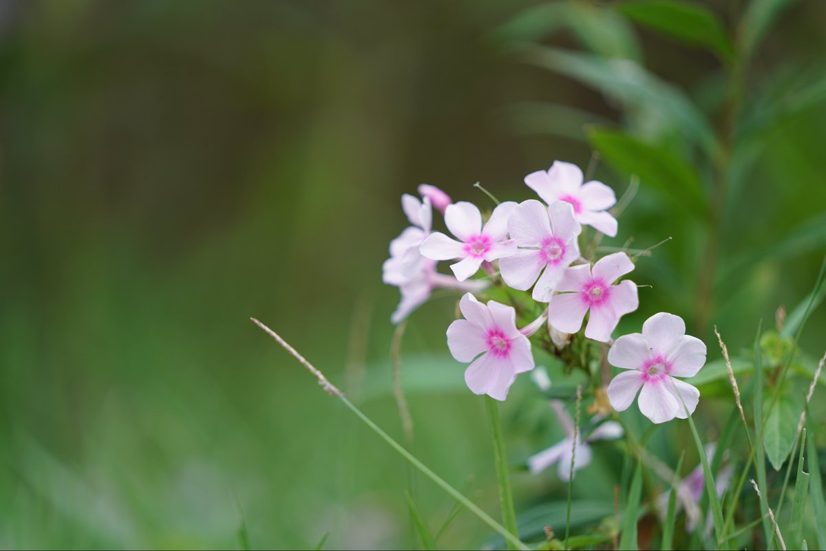 おさや撮る前のウォーミングアップ