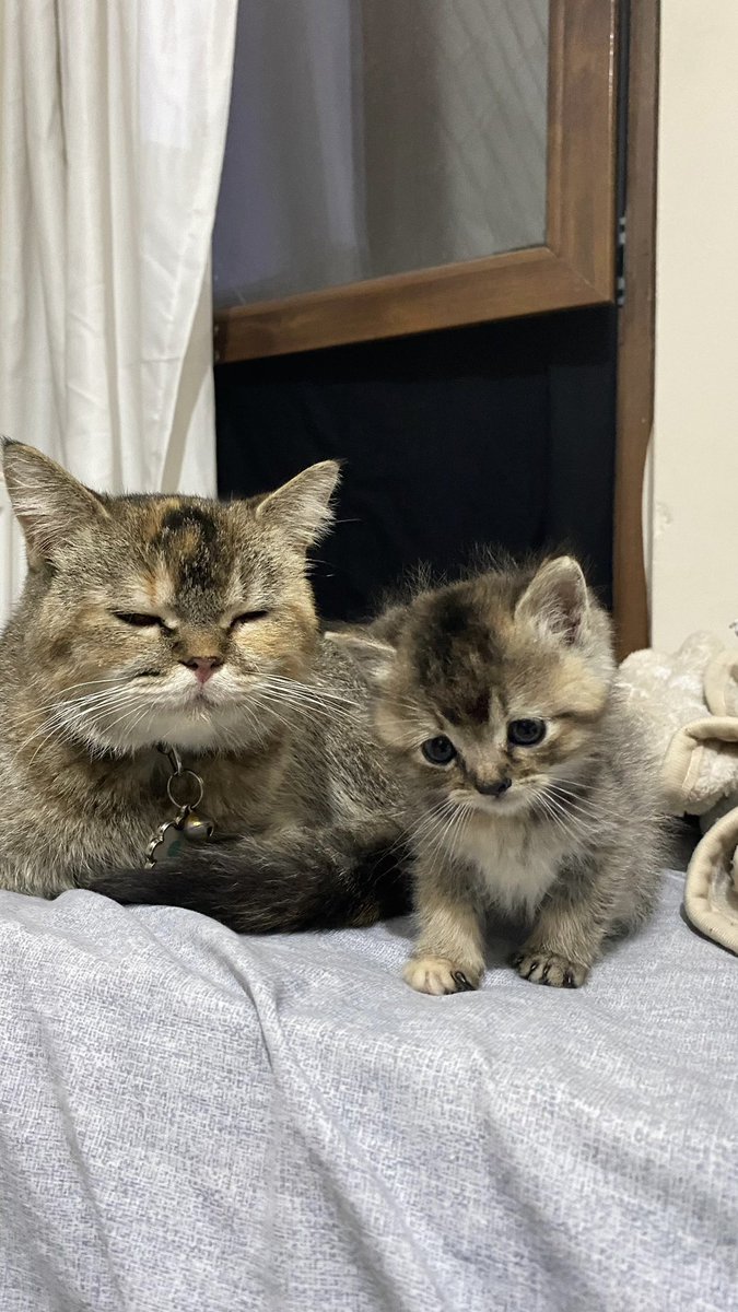 sasha ʚїɞ (@psychessha) on Twitter photo 