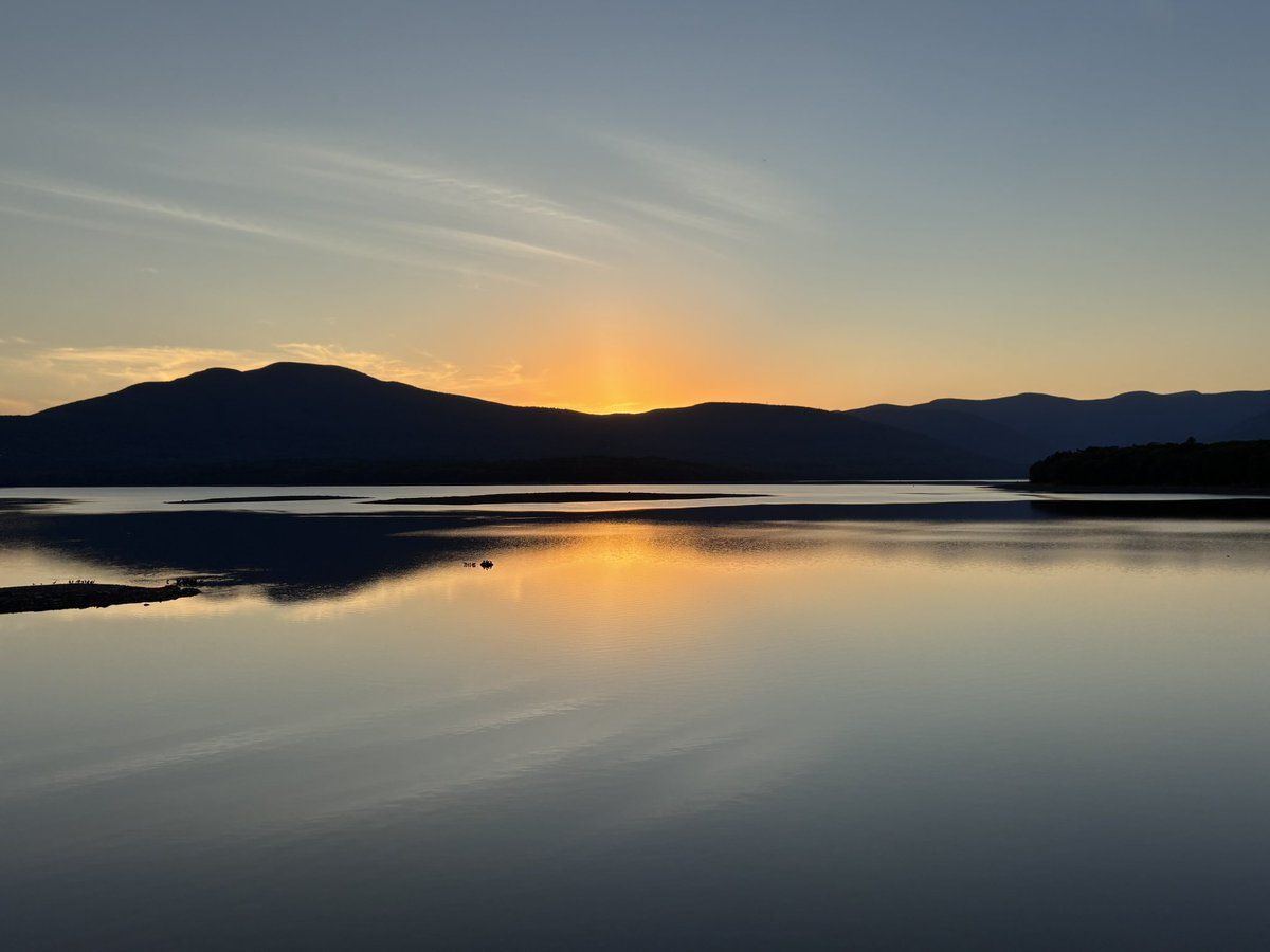 Renee Murphy tweet media