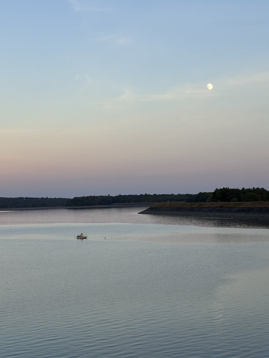 Renee Murphy tweet media