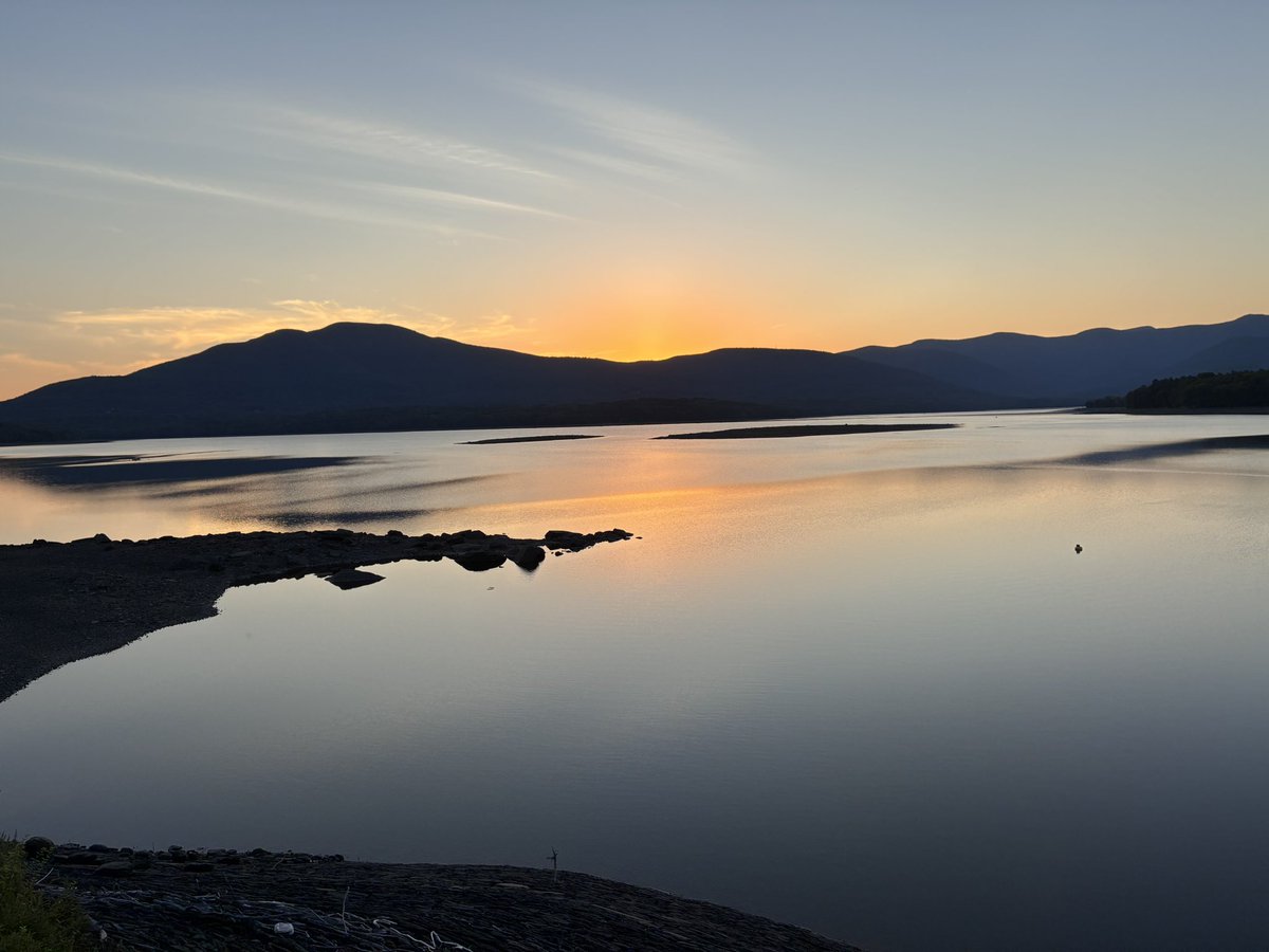 Renee Murphy tweet media