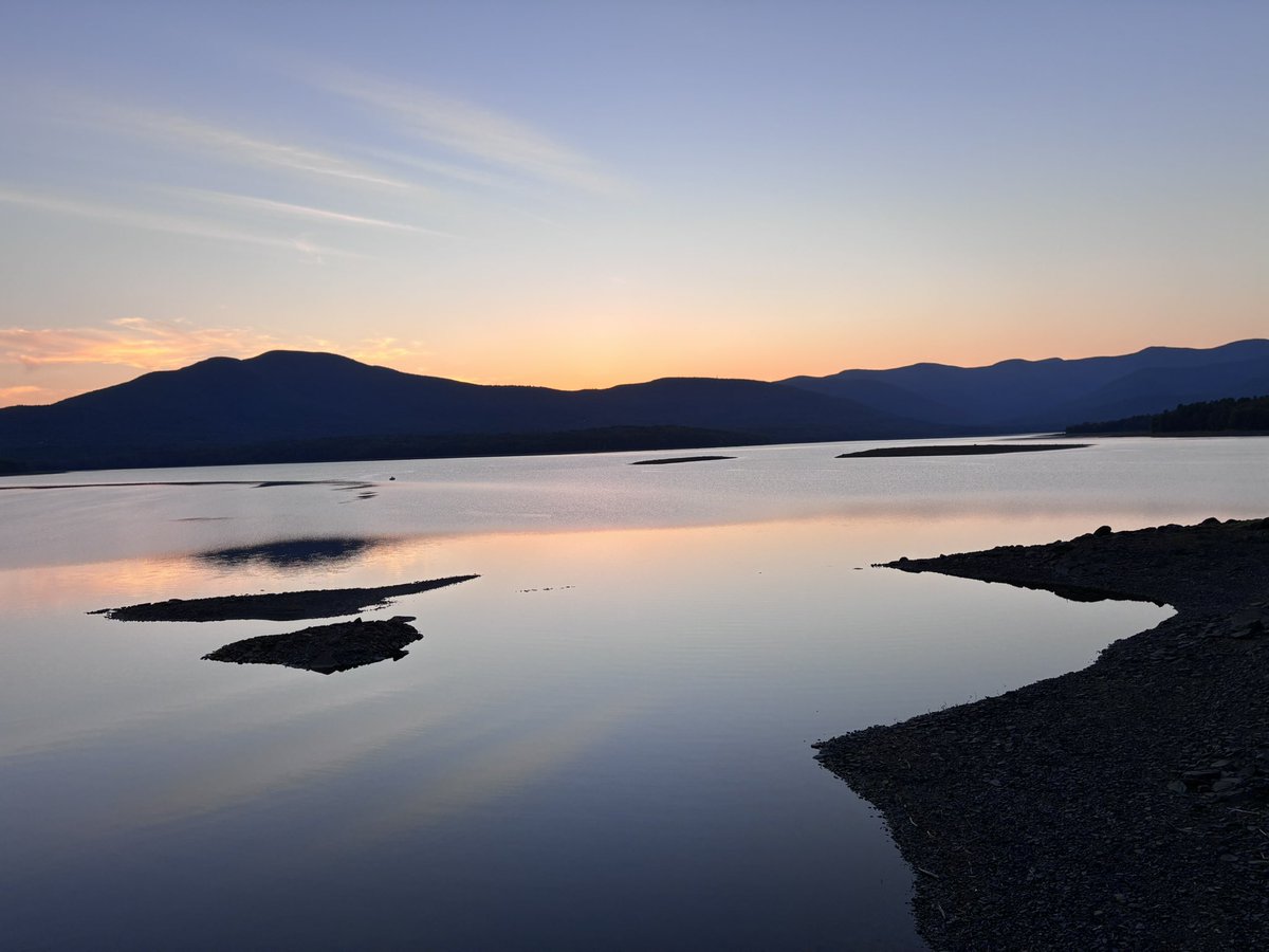 Renee Murphy tweet media