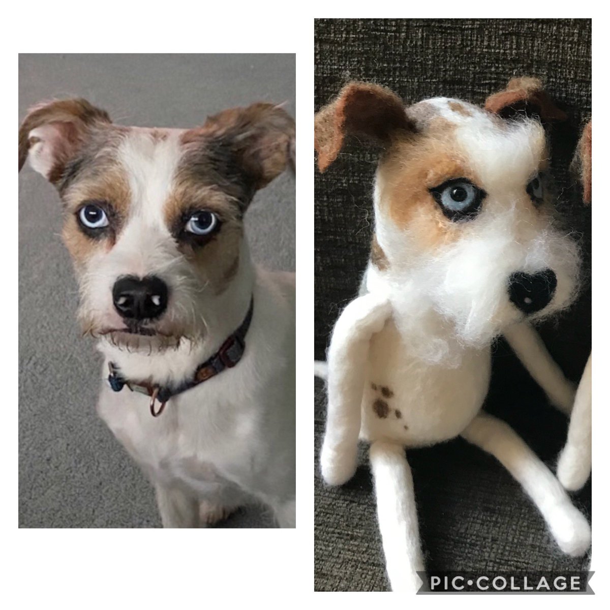StephCowburn's tweet photo. I make models of your cats and dogs so if you’d like a teddy bear version or a more realistic model of your dog please message me. They make great gifts xx #sundayvibes #dogsofX #DogLovers #HandMade #CraftbizParty https://t.co/zxIeBKzjHS