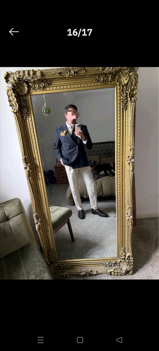 suited dom tweet media