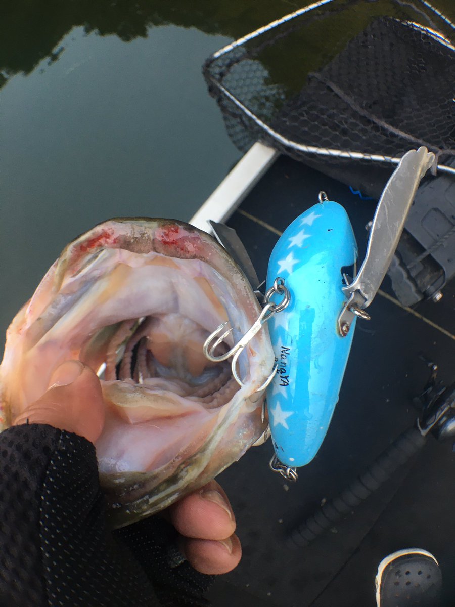 Nana⭐︎無音取引⭕️様 リクエスト 6点 まとめ商品 楽天市場】【新品】NTT製 ZXH-ME(2) 電話機は最大で8台を接続可能 外線