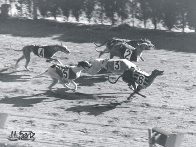 Buenos días. 
Vamos a ver qué nos ha dejado este 5 de octubre en su paso anual por el calendario 
demadridalanube.com/2017/10/efemer…