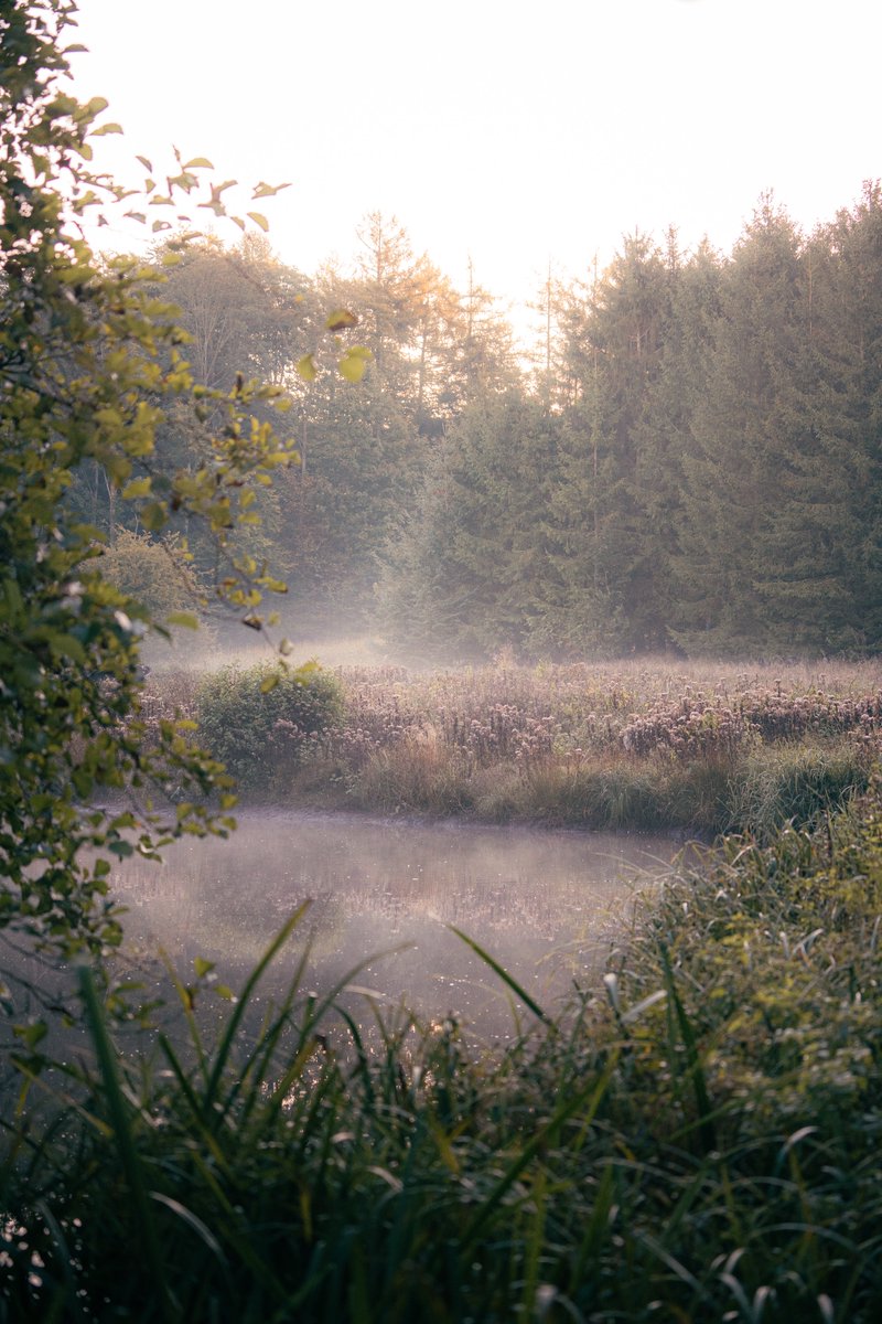 Darte Fex tweet media