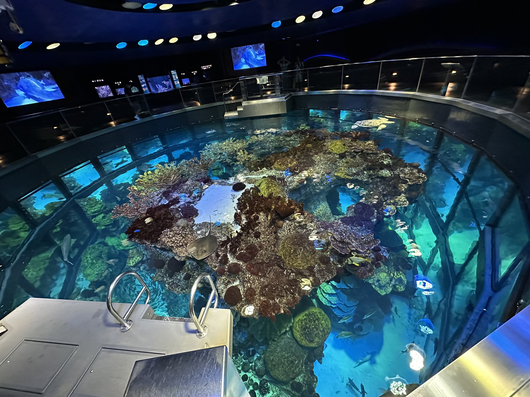 かめきちになります。 CS-029 クラッチカバー アイシン精機 スズキ 主な適合純正品番