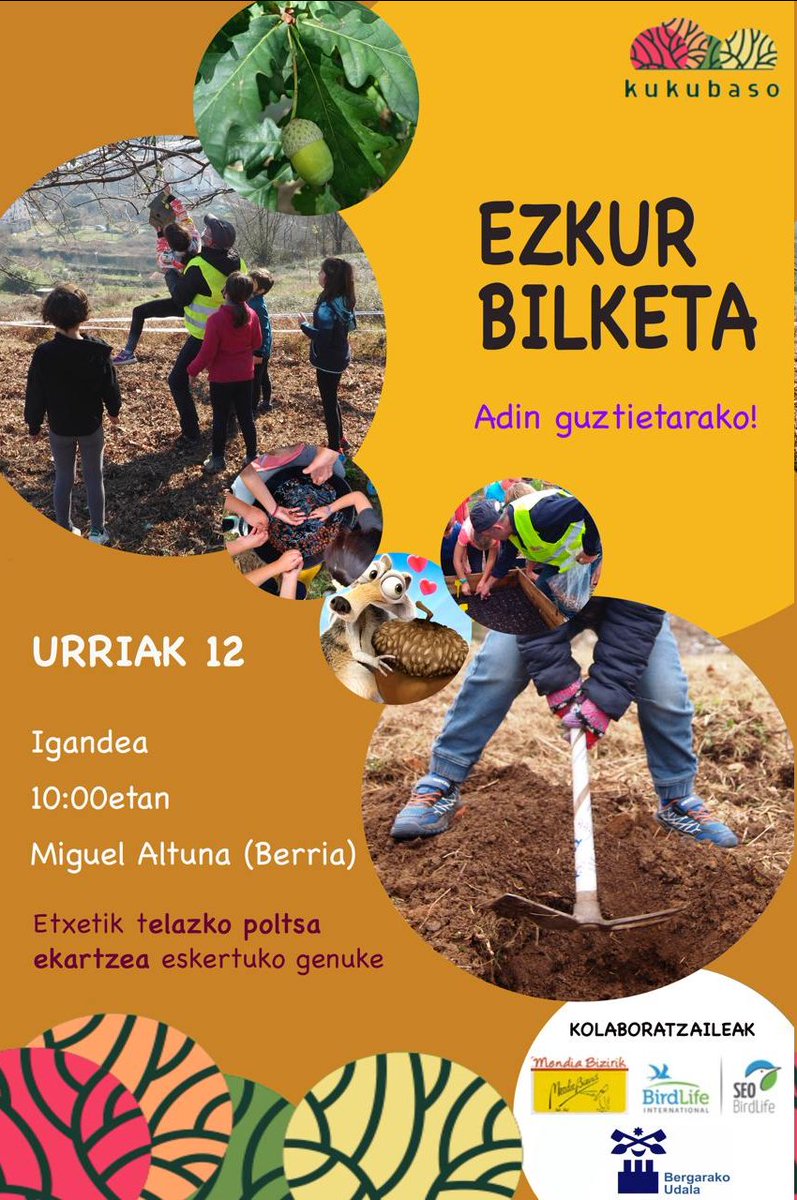 Datorren urriaren 12an, igandean, EZKUR BILKETA eta Agirretxeberriko mintegian landaketa egitera gonbidatzen zaituztegu. Nahi duenak etxera eraman ahalko du aleren bat, gertutik zaindu eta goxatzeko. Animatzen? Adin guztietarako aproposa da ingurua beraz zatozte etxeko txikiekin!