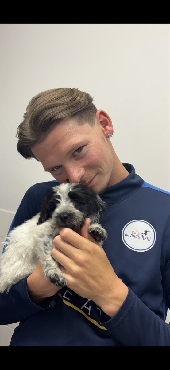 Paul Chesworth tweet media