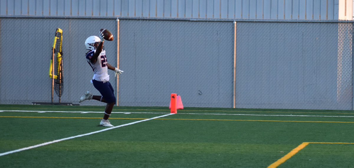 Dyson johnson tweet media