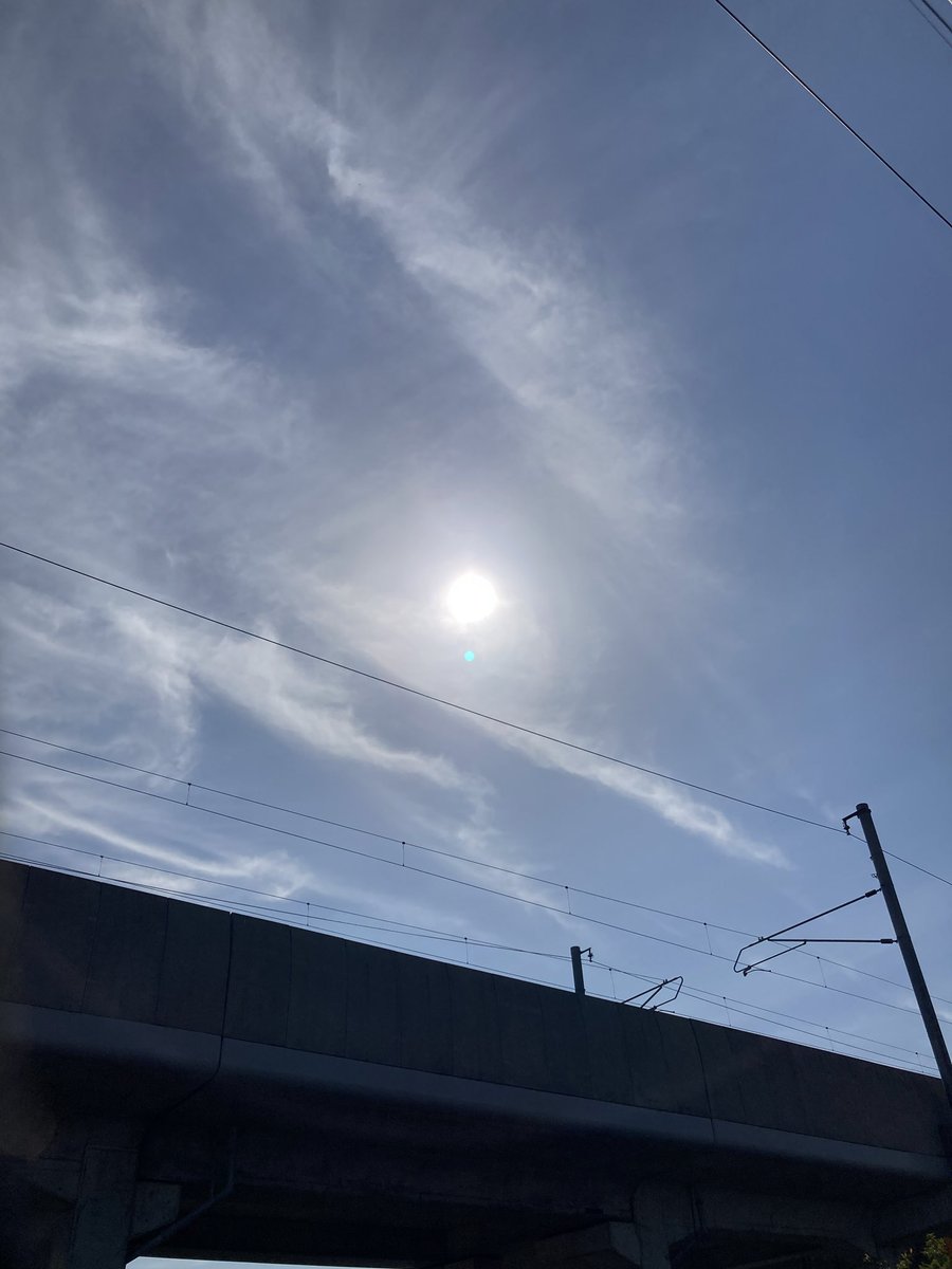 Good morning ☀️🕊️💕Afternoon 🍊
Evening 🍇 night ✨🦉