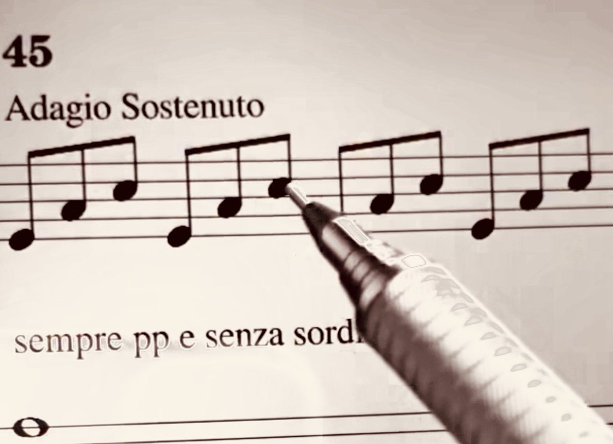 Moonlight Sonata-1: Adagio Sostenuto, departing for Haneda. Adagio sostenuto, playing at a slow and sustained tempo, where notes are held for their full value and the music has a steady, continuous, and prolonged quality, often creating a calm or solemn mood.

#moonlightsonata