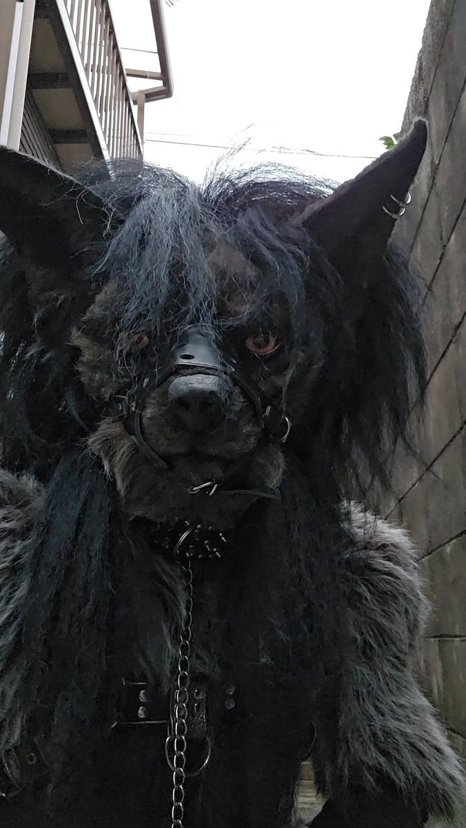 耀 (@fourthhikaru) on Twitter photo 