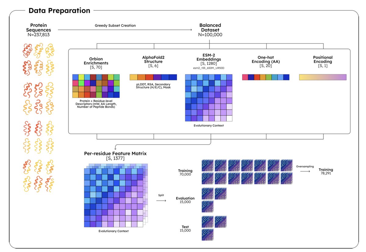 BiologyAIDaily's tweet photo. AstraPTM2: A Context-Aware Transformer for Broad-Spectrum PTM Prediction

1. AstraPTM2 is a novel computational tool that predicts 39 distinct types of post-translational modifications (PTMs) on full-length protein sequences. This broad coverage is unprecedented and addresses a significant gap in the field, as most existing tools focus on a limited number of PTMs or truncate protein sequences, losing critical context.

2. The model integrates ESM-2 embeddings, AlphaFold2-derived structural features, and protein-level descriptors to capture both short-range motifs and long-range dependencies. This multi-scale approach allows AstraPTM2 to identify PTMs that are driven by complex structural and sequence contexts, enhancing its predictive power.

3. AstraPTM2 employs a three-stage curriculum learning strategy to balance the prediction of rare and common PTMs. By progressively introducing rarer labels during training, the model achieves a macro-F1 score of 59% and an AUROC of 0.99, demonstrating strong performance across a diverse set of PTMs, including those with limited training data.

4. The model’s outputs are calibrated using per-label affine calibration and optimized thresholds, ensuring that predictions are reliable and interpretable. This calibration process is crucial for generating actionable insights, especially for experimental biologists planning mutagenesis studies or designing protein constructs.

5. AstraPTM2 is deployed on the Orbion web platform, offering synchronized 2D and 3D visualizations of PTM predictions. The platform supports dual prediction modes—calibrated and exploratory—allowing users to distinguish high-confidence sites from lower-confidence hypotheses, facilitating both decision-making and hypothesis generation.

6. In hold-out tests, AstraPTM2 shows particularly strong performance on rare motif-driven PTMs such as O-linked glycosylation and sumoylation. This highlights the model’s ability to identify PTMs that are often overlooked by other tools, potentially revealing new biological insights and therapeutic targets.

7. The development of AstraPTM2 underscores the importance of balanced data curation, thoughtful curriculum scheduling, and motif-sensitive architectures. These principles are likely to guide the next generation of multi-PTM predictors, emphasizing that thoughtful design can be more impactful than simply increasing model size or dataset volume.

📜Paper: https://t.co/7eCzlocJ3T
#AstraPTM2 #PTMPrediction #ComputationalBiology #TransformerModel #ProteinStructure #MachineLearning #Bioinformatics