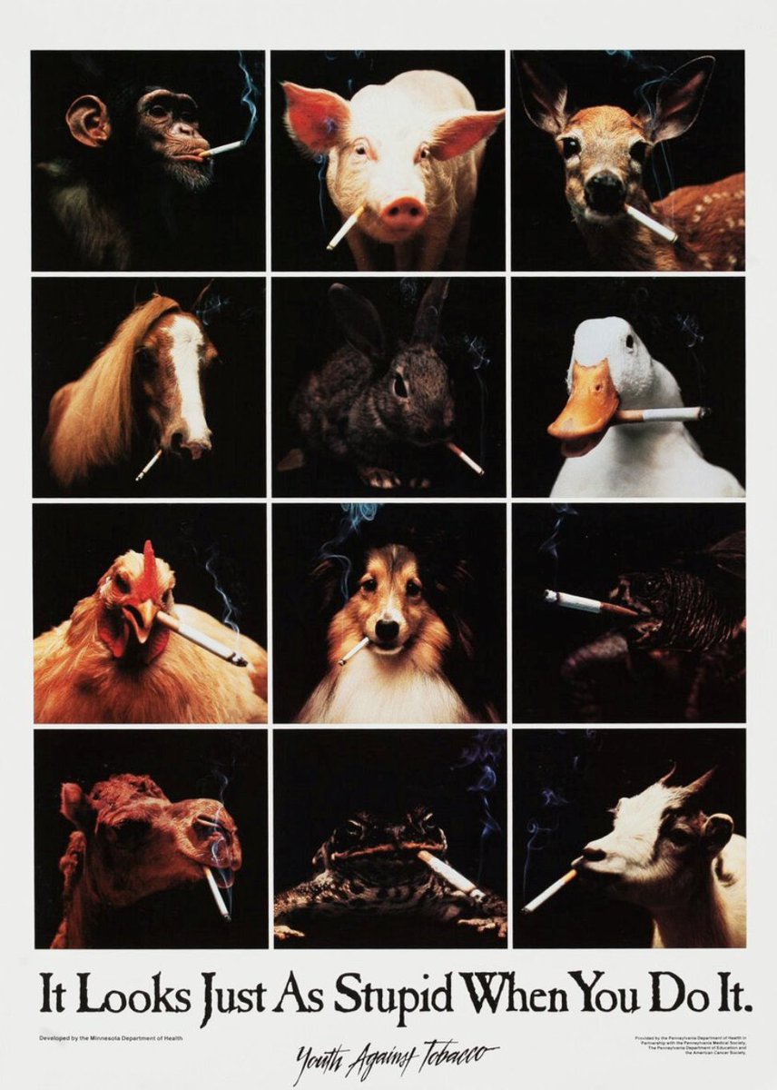 tonesdot's tweet image. to be fair that chicken looks cool af