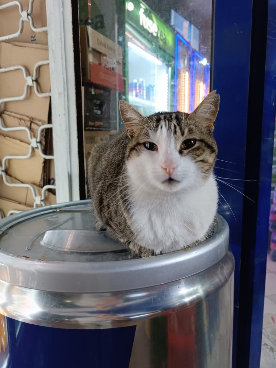 sokağa dönmesin İstanbul paylaşım desteği lütfen