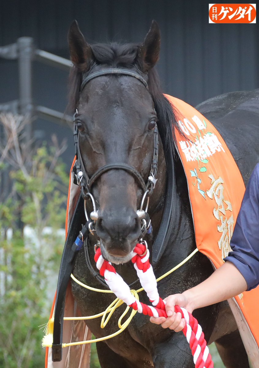 競馬 THE LINK 絶対連動 発見！永遠に続くJRA馬番リンク 25th Close-up] There have been horses that have won the