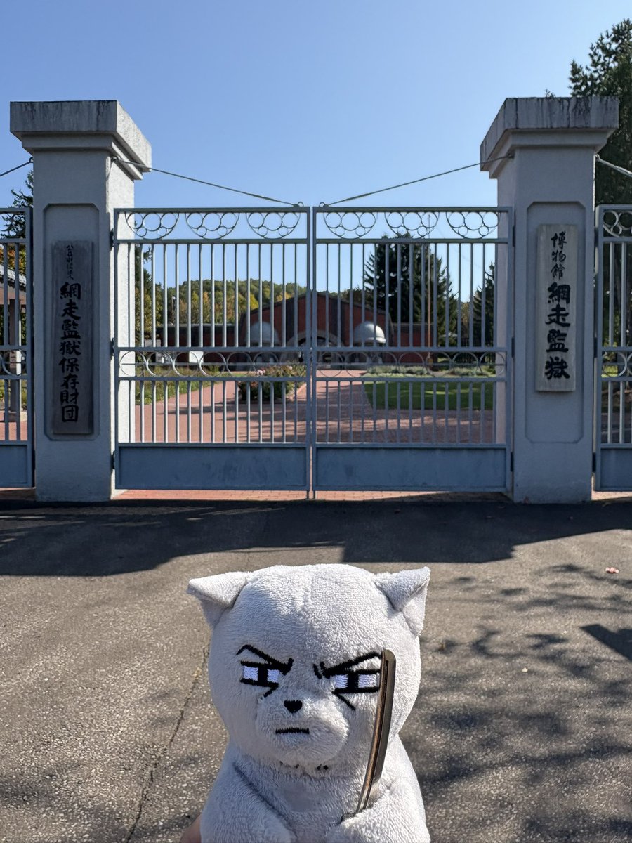 imonohi's tweet photo. https://t.co/cxvQ7rlkbX