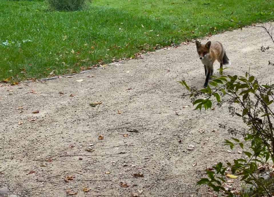 RLSS UK Warwickshire tweet media