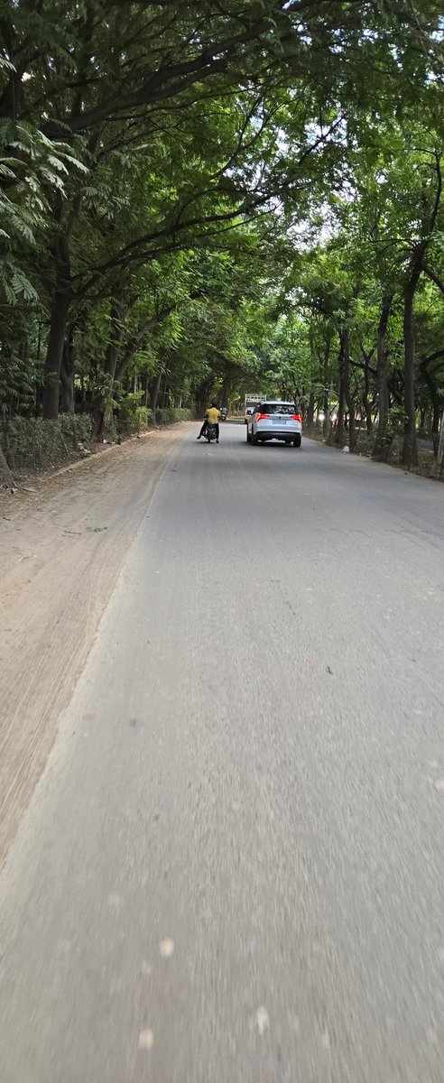 Breathinggeek's tweet photo. The road to Godrej garden city looks so beautiful, trees on both the side, provides natural shade to the commuters and and overall looks so aesthetic. Sincere request to @AmdavadAMC if they can take a leaf out of this and implement the same across Ahmedabad. https://t.co/BS3r5hmu9Y